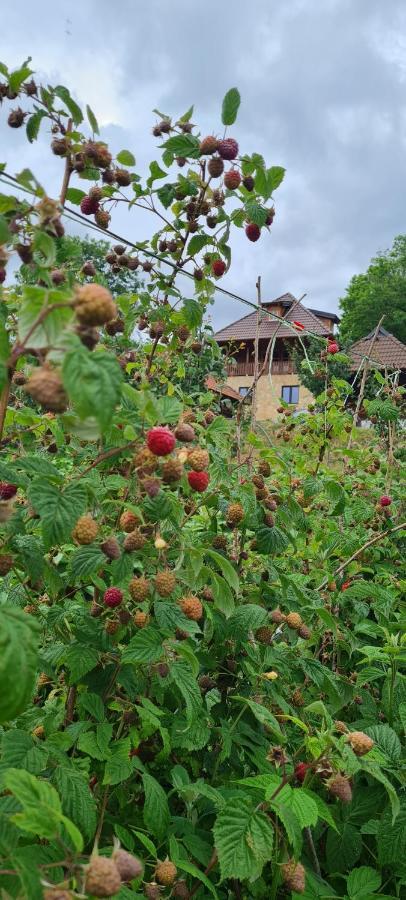 Rankovi Konaci Villa Zlatibor Exteriör bild