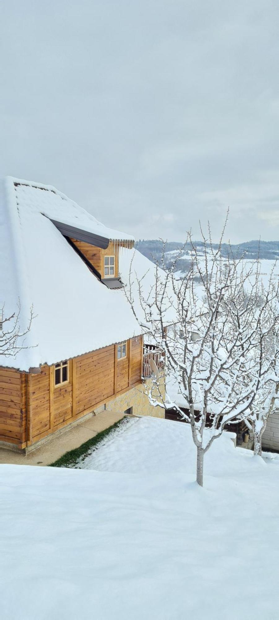 Rankovi Konaci Villa Zlatibor Rum bild